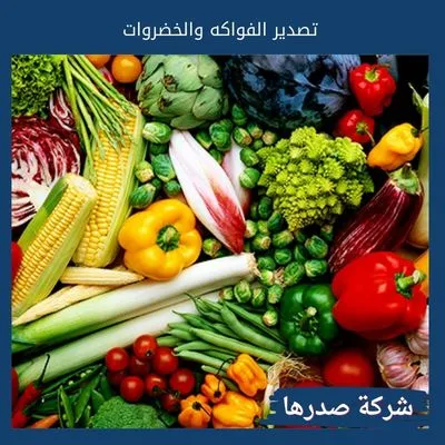 تصدير الفواكه والخضروات