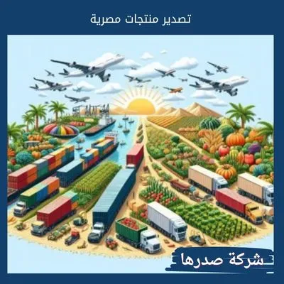 تصدير منتجات مصرية تصدير منتجات مصرية