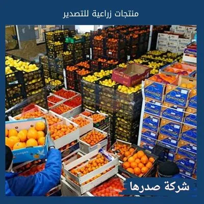 منتجات زراعية للتصدير