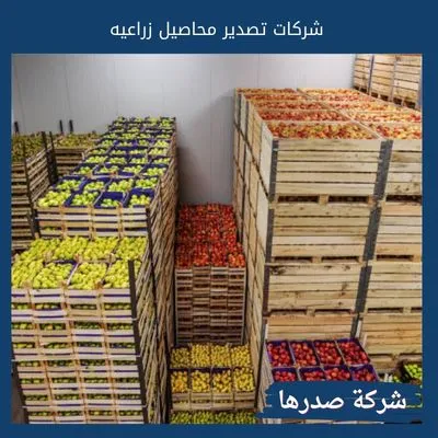 شركات تصدير محاصيل زراعيه