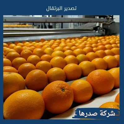 تصدير البرتقال