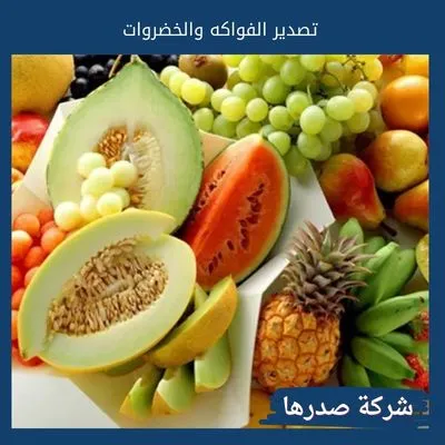 تصدير الفواكه والخضروات