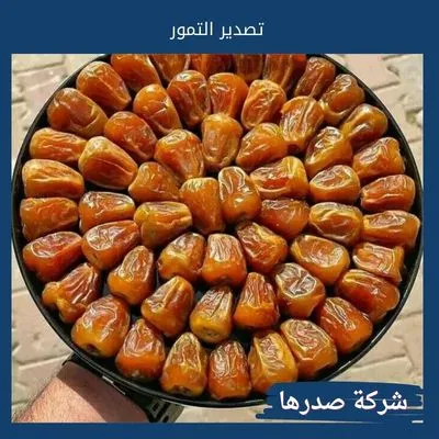 تصدير التمور