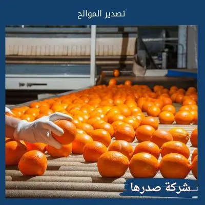 تصدير الموالح