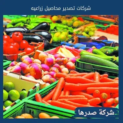 شركات تصدير محاصيل زراعيه