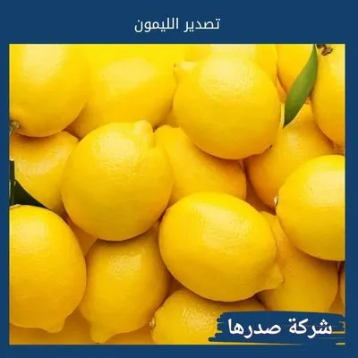 تصدير الليمون