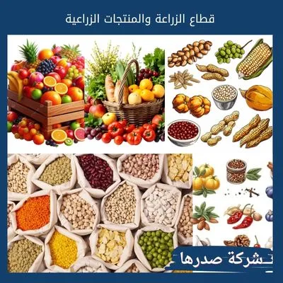 قطاع الزراعة والمنتجات الزراعية