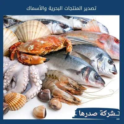 تصدير المنتجات البحرية والأسماك