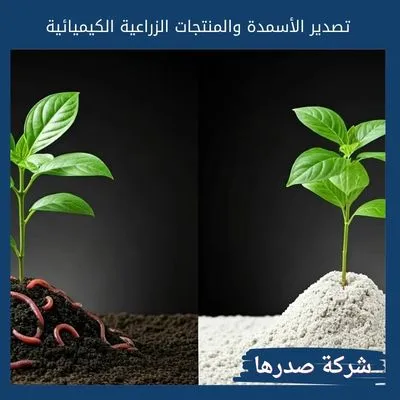 تصدير الأسمدة والمنتجات الزراعية الكيميائية