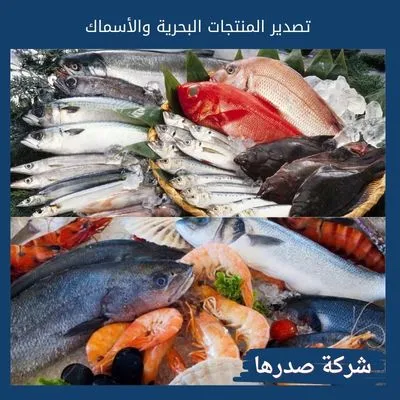 تصدير المنتجات البحرية والأسماك